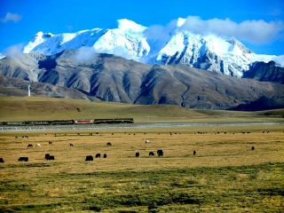 去西藏旅游网_跟团西藏10日游多少钱_六月到西藏旅游