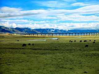 去西藏旅游网_跟团西藏10日游多少钱_六月到西藏旅游
