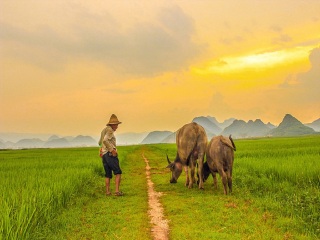 云南大理麗江私人定制旅游_云南大理麗江游 旅行團(tuán)_云南大理麗江旅游跟團(tuán)需多少錢