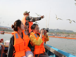 組團(tuán)去大連_大連私人定制旅游_深圳到大連旅游報(bào)價(jià)