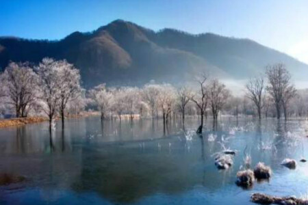 <宜昌+神农架+大九湖4日游>南京动车直达宜昌，提供接送站服务，体验游船水路行进神农架，舒适游览西陵峡，纯玩无购物，走进神秘北纬30度