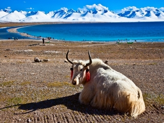 去西藏旅游网_跟团西藏10日游多少钱_六月到西藏旅游