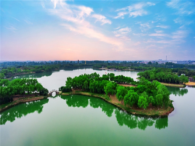  盐城大纵湖1日游>赏湿地公园,芦苇荡,鸟类天堂,观放飞鸿雁,含特色