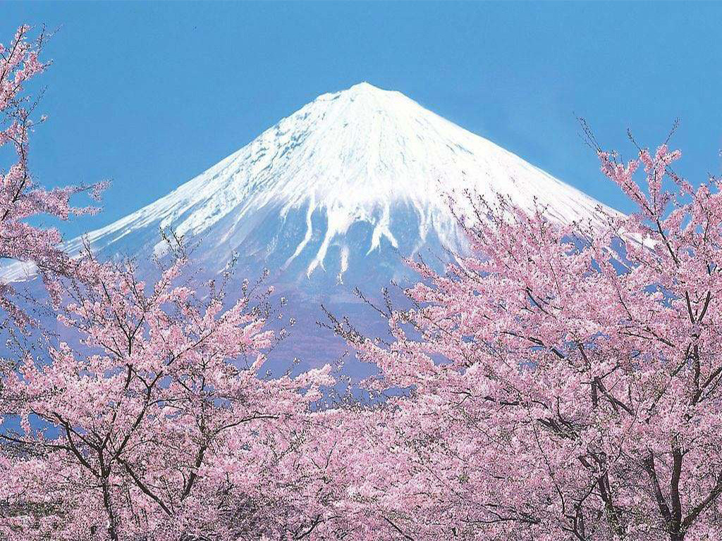 [五一] 日本东京-富士山5日游>日航,15人小团,富士芝樱,1晚温泉,3晚