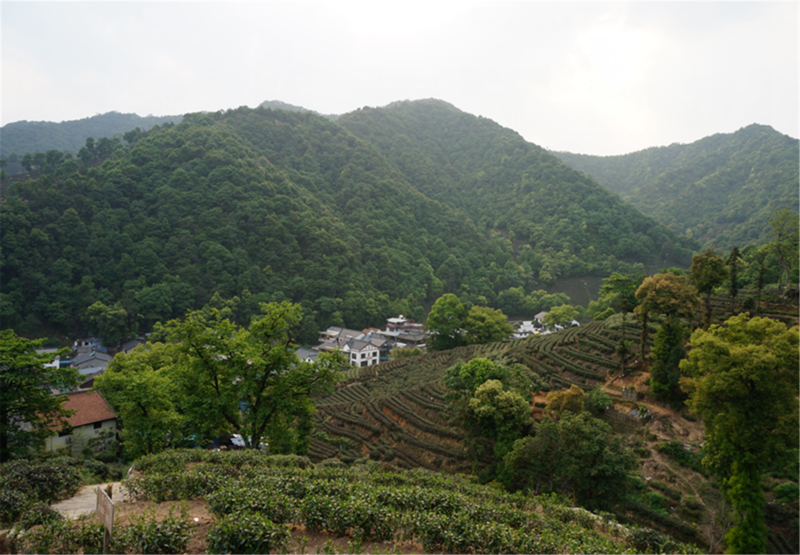 梅家坞—琅珰岭