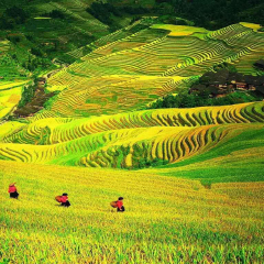 景点模块 