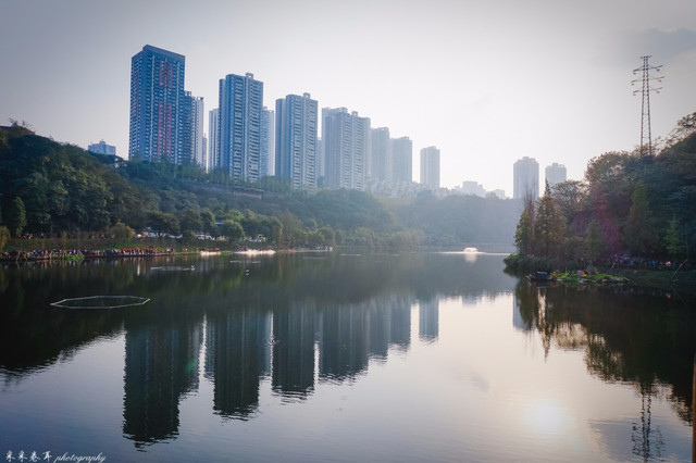 【途牛首发】山城重庆春之秘境 大盛樱花-南山植物园-彩云湖