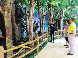 深圳到海南旅游報(bào)價(jià)_海南旅游跟團(tuán)需多少錢_海南游8月份報(bào)價(jià)