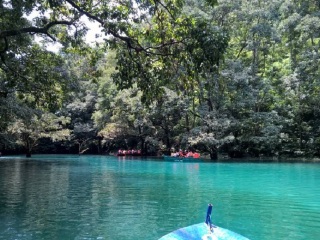 贵州黄果树欣华旅游_2023贵州黄果树九日游多少钱_到贵州黄果树的旅行