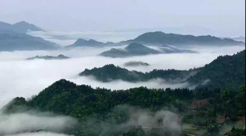 最凉快的山_治愈你的可可托海,时钟也忍不住停摆