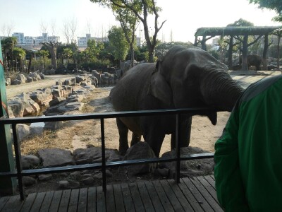比较大的动物园 Cii-s1pC8EeIbjXYAAN8i3wizAEAABXlwI71-oAA3yj272_w400_h300_c1_t0.jpg