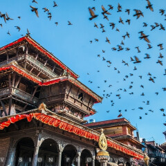 景点模块 