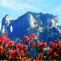 景点模块 