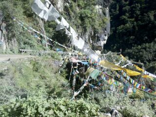 8月西藏林芝旅游_西藏林芝半自由行_西藏林芝特價旅游團(tuán)報價