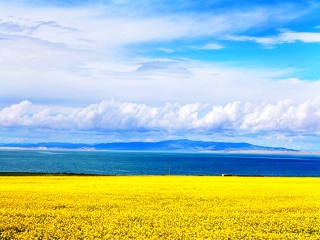 西藏林芝旅游一次多少錢_西藏林芝組團(tuán)旅游_2021去西藏林芝旅游團(tuán)報(bào)價(jià)