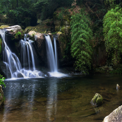 景点模块 
