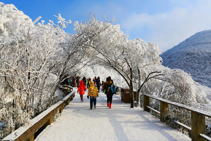 金佛山冰雪温泉节怎么玩?