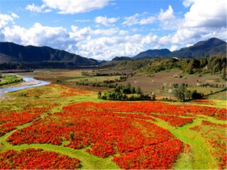 泸沽湖6日游_泸沽湖旅游5天游_深圳出境泸沽湖旅游