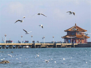 青岛旅游费用_青岛旅游深圳出发_青岛旅游几月份最合适