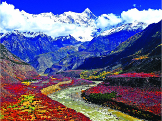 去西藏林芝游怎么省錢_西藏林芝私人定制旅游_西藏林芝旅游團(tuán)