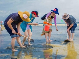 怎么去廈門鼓浪嶼旅游_8月廈門鼓浪嶼旅游_廈門鼓浪嶼跟團(tuán)游與自由行