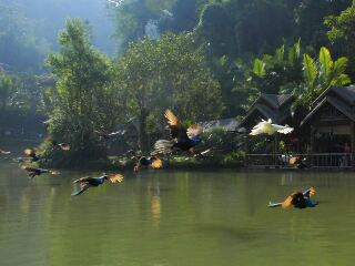 云南麗江旅游要多少錢跟團(tuán)_云南麗江游花多少錢_云南麗江旅游一次多少錢