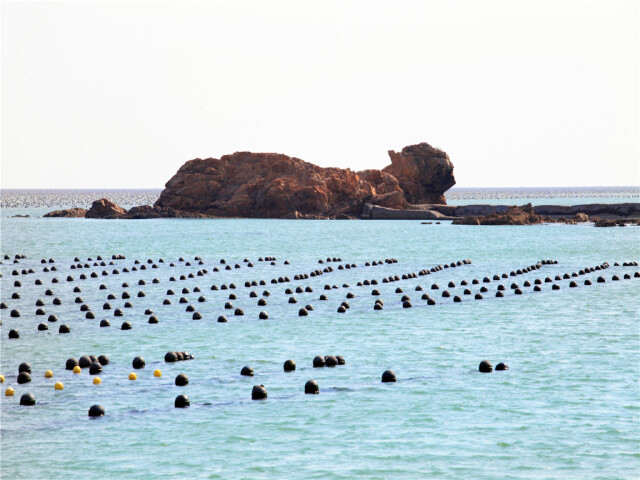 威海-烟台-蓬莱5日游>五星半岛,早订升海景,1晚坐拥私家沙滩,海洋牧场