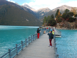 去西藏林芝游怎么省錢_西藏林芝私人定制旅游_西藏林芝旅游團(tuán)