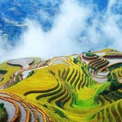 景点模块 