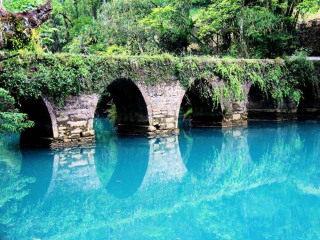 貴州高端品質(zhì)旅游團(tuán)_到貴州旅游多少錢_貴州私人定制旅游