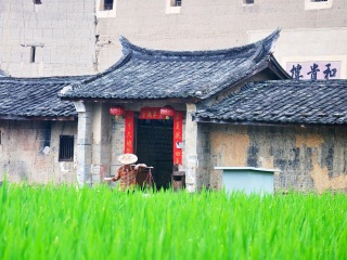 廈門鼓浪嶼自由行旅游團(tuán)_廈門鼓浪嶼旅游跟團(tuán)需多少錢_廈門鼓浪嶼旅行團(tuán)自由行