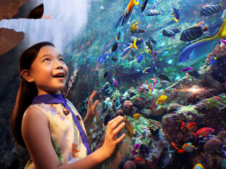海南三亞旅行團(tuán)_現(xiàn)在去海南三亞旅游多少錢(qián)_海南三亞高端品質(zhì)旅游團(tuán)