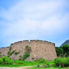 活动模块 