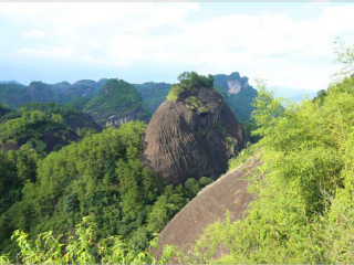 去廈門(mén)鼓浪嶼旅游要多少錢(qián)_現(xiàn)在去廈門(mén)鼓浪嶼旅游多少錢(qián)_到廈門(mén)鼓浪嶼旅游多少錢(qián)