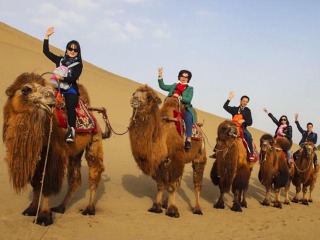 西安兵馬俑游價格_深圳特價西安兵馬俑游_西安兵馬俑游特價團(tuán)