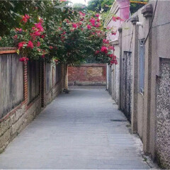 活动模块 