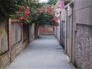 廈門鼓浪嶼旅游費用_廈門鼓浪嶼旅游需要多少錢_現(xiàn)在去廈門鼓浪嶼旅游多少錢