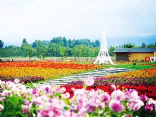 云南西雙版納最佳旅游路線_深圳到云南西雙版納旅游報價_云南西雙版納旅游價格多少跟團
