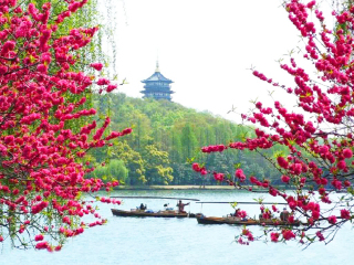 去华东跟团游价格_华东特价旅游团报价_华东7日旅游团