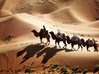 跟团新疆旅游价格表_新疆旅游需要多少钱_公司去新疆旅游