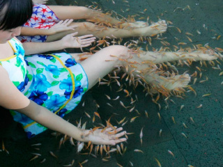 海南三亞游跟團(tuán)_海南三亞最佳旅游路線_海南三亞自由游價(jià)格多少