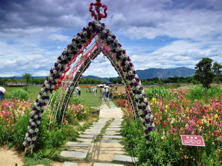 云南大理麗江九月旅游_2021去云南大理麗江旅游團(tuán)報(bào)價(jià)_到云南大理麗江旅游多少錢
