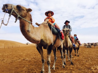 寧夏半自助游_寧夏旅游價(jià)格多少跟團(tuán)_寧夏報(bào)團(tuán)旅游多少錢(qián)