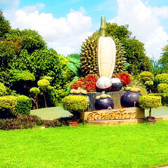 芭提雅热带水果园 景点模块