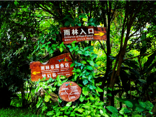 去海南旅游公司_去跟团旅游海南_海南旅游安排