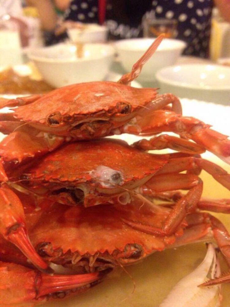 什么时候去舟山旅游最好?