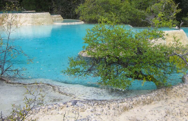 九寨沟以水色艳丽闻名,而黄龙则有些不同,以钙华池的形态闻名,看这一