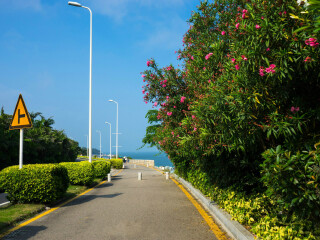廈門旅游路線_跟團廈門游價格_廈門私人定制旅游