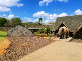 去毛里求斯旅游旅行团_春节毛里求斯游_去毛里求斯旅游参团