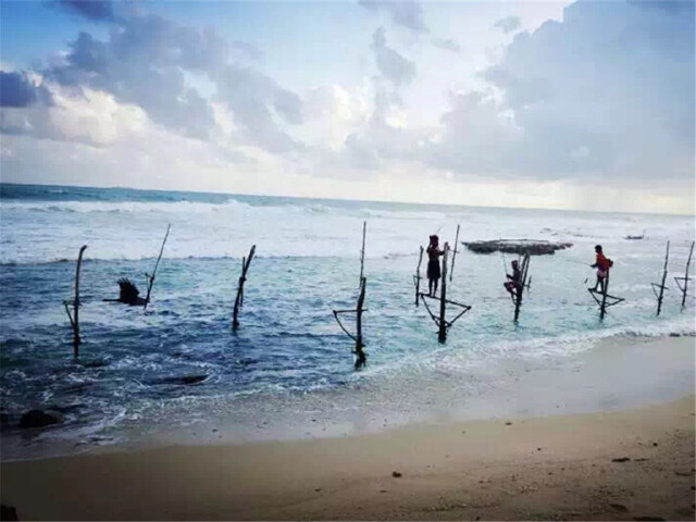 斯里兰卡5晚7日游 淡季降价狂甩!国泰杭州往返